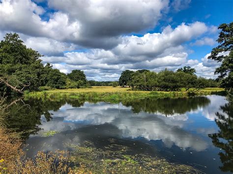 How to Walk the River Wey in Surrey, UK - Walk Wild