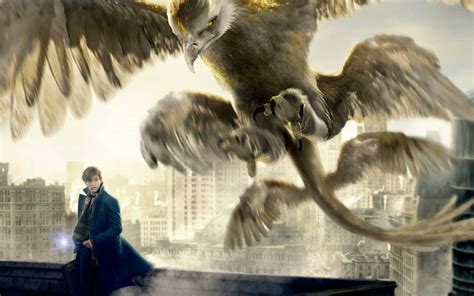 Download Fantastic Beasts - Newt Scamander with magical creatures ...