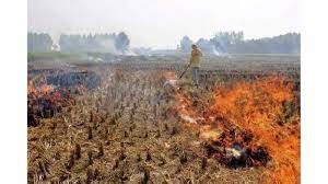 Fire destroyed 10 acres of wheat and 3 acres of gram | आग से 10 एकड़ ...