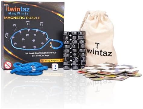 Buy Twintaz MagWinis Magnetic Puzzle Game | 27 Irregular Stones ...