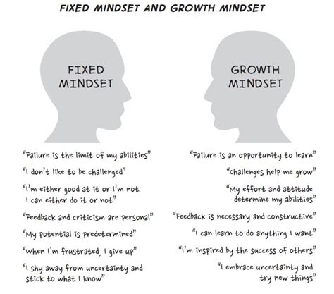Fixed Mindset Examples 的图像结果