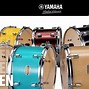 Image result for Types of Musical Instruments Drums