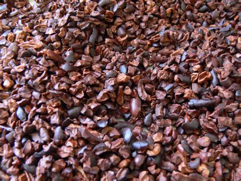 What Do Cacao Nibs Look Like at Russell Fancher blog