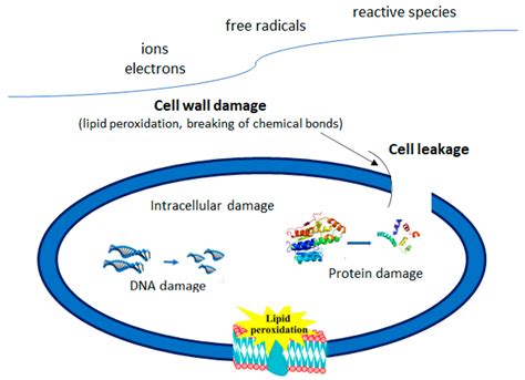 Properties of Water Activated with Low-Temperature Plasma in the Context of Microbial Activity