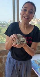 On cloud nine in my zoo - The Week