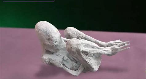 Alien womb revelation? Scientists discover 'fetus' inside mysterious ...