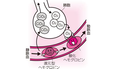 Image result for Readable GUID Generator