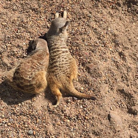 WALKABOUT WILDLIFE SANCTUARY - All You Need to Know BEFORE You Go (with ...