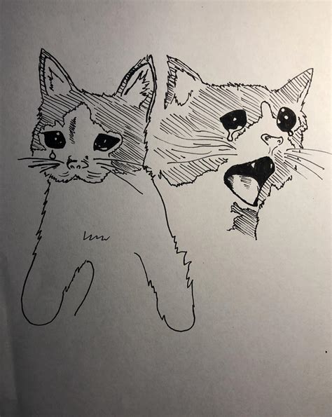 Crying cat meme : drawing