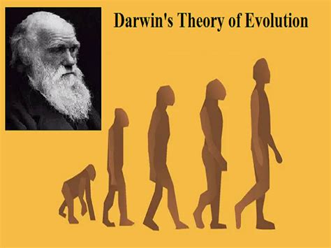 Charles Darwin: Theory of Evolution and Natural selection