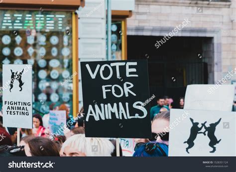 Image result for Animal Testing Controversy