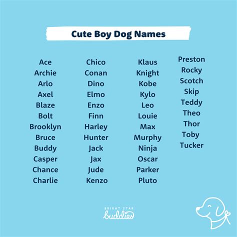 Top 200 Dog Names - Cute Dog Names You'll Love - BSB