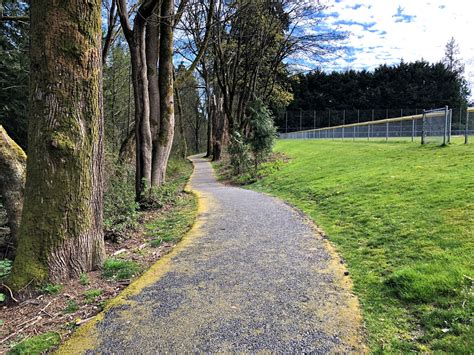 Cedar Grove Park | Bothell WA