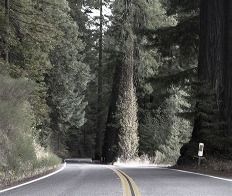 JUSTIN THOMAS-COPELAND SWIM LANES OF MARKETING - RAPP.com