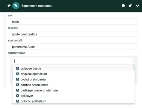 Metadata Template 的图像结果