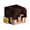 Image result for Custom Hands Minecraft Mod
