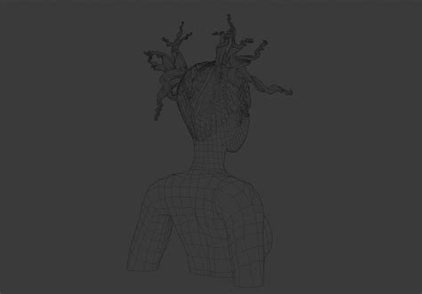 Curly Ponytails Hairstyle V24561 3D model | CGTrader