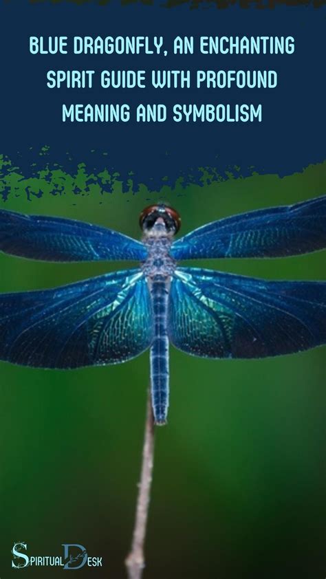 Blue Dragonfly Spiritual Meaning | Blue dragonfly, Dragonfly, Spirituality