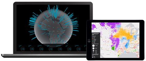 Esri API JavaScript 的图像结果