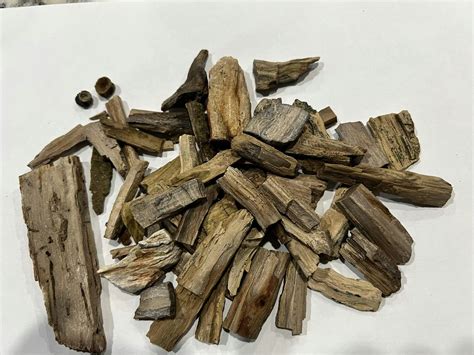 Bruneau Woodpile Geologic Field Trip, Idaho Museum of Mining and ...