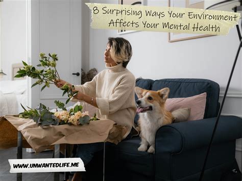 The Hidden Ways Your Environment Affects Your Health