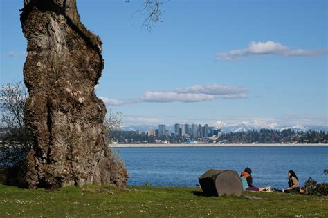 Colman Park in Seattle | Park Preview