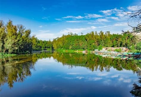 20 Best Places to Visit in Ooty - Ultimate Travel Guide