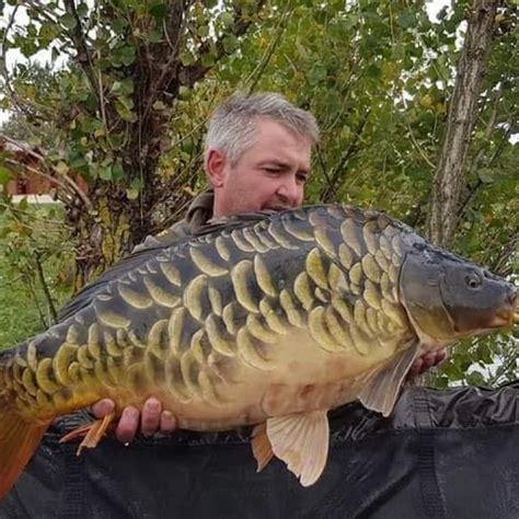 Poseidon Fishing Resort – Horgászat Magyarországon – Európa egyedülálló ...