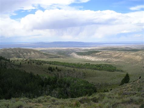 Local Scale Map 的图像结果