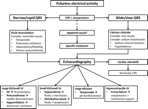 Kuvatulokset haulle pea arrest