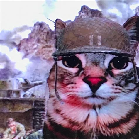 Leandro Ayala | la mirada de los mil michis @dxndx1 EUROTOUR NOV - DEC ...