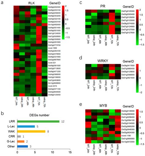 Integrated Transcriptomic and Metabolomic Analysis Reveals the ...