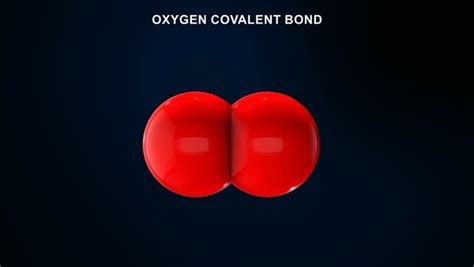 O2 Covalent Bond 的图像结果
