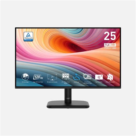 MSI Pro MP251L E2 25 Inch 120Hz IPS Business Monitor