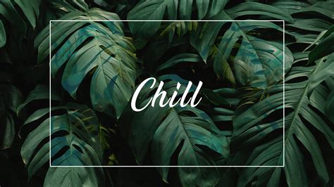 [100+] Minimalist Plant Wallpapers | Wallpapers.com