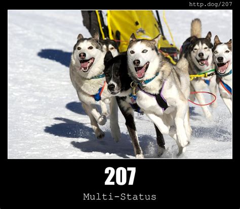 Image result for Code 207