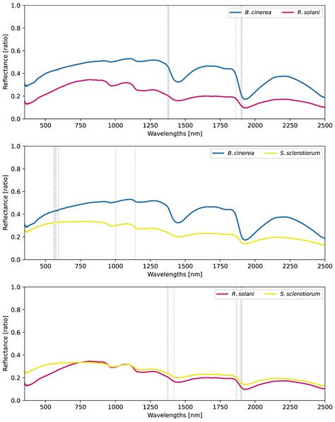 Machine Learning-Based Hyperspectral and RGB Discrimination of Three ...