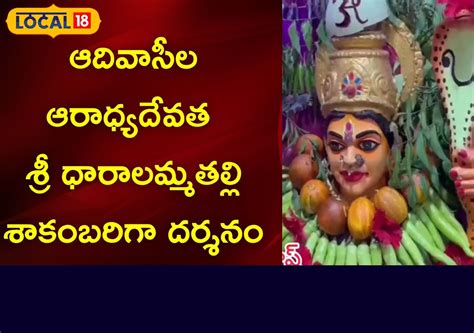 ఆదివాసీల ఆరాధ్యదేవత శ్రీ ధారాలమ్మతల్లి శాకంబరిగా దర్శనం | ఆంధ్రప్రదేశ్ ...