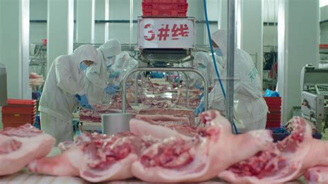 全球猪肉进出口贸易，中国进口量超过日本成为第一_凤凰网视频_凤凰网