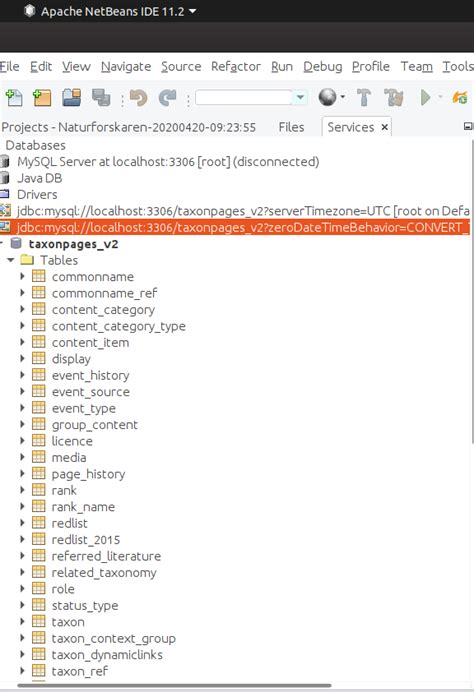 Connect Database Wth MySQL. NetBeans 的图像结果