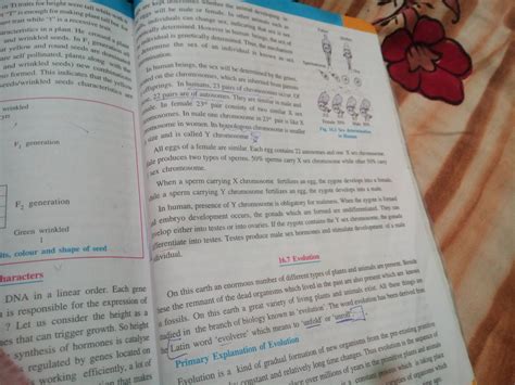 what are chromosomes? explain how in sexually reproducing organisms the ...