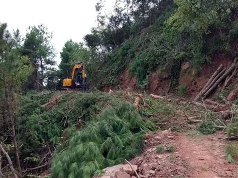 Image result for Portable Laser Tree Cutter