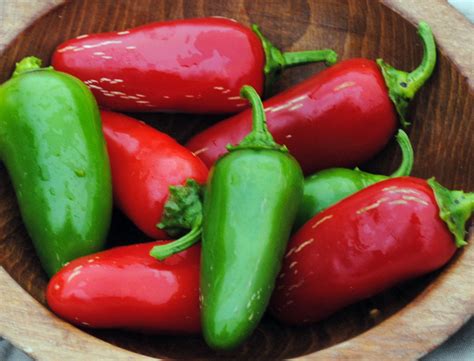 What Are The Parts Of A Jalapeno Pepper? – YLEAV