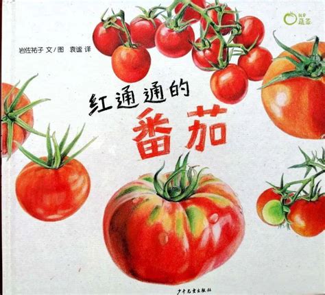 《番茄工作法图解》作者中国行_turingbooks的博客-CSDN博客