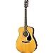 Yamaha F310, 6-Strings Acoustic Guitar, Natural : Amazon.in: Musical ...