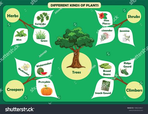 Types SOF Kinds 的图像结果