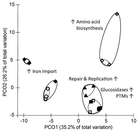 Short-Chain Fatty Acids Modulate Metabolic Pathways and Membrane Lipids ...