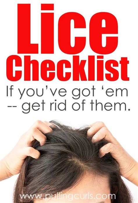 home remedies lice
