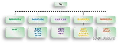 SQL Programs 的图像结果