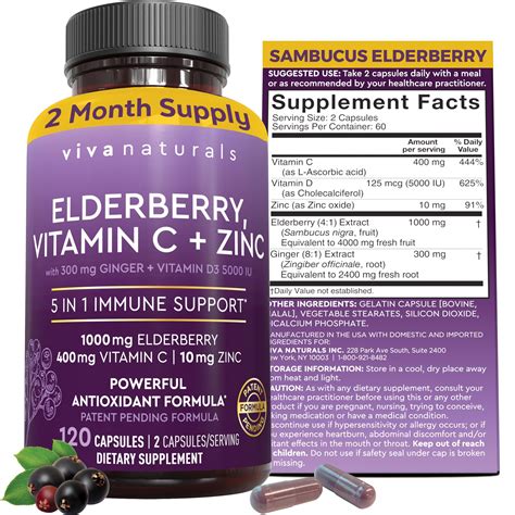 Buy Viva Naturals Elderberry with C and Zinc for Adults - 5 in 1 ...